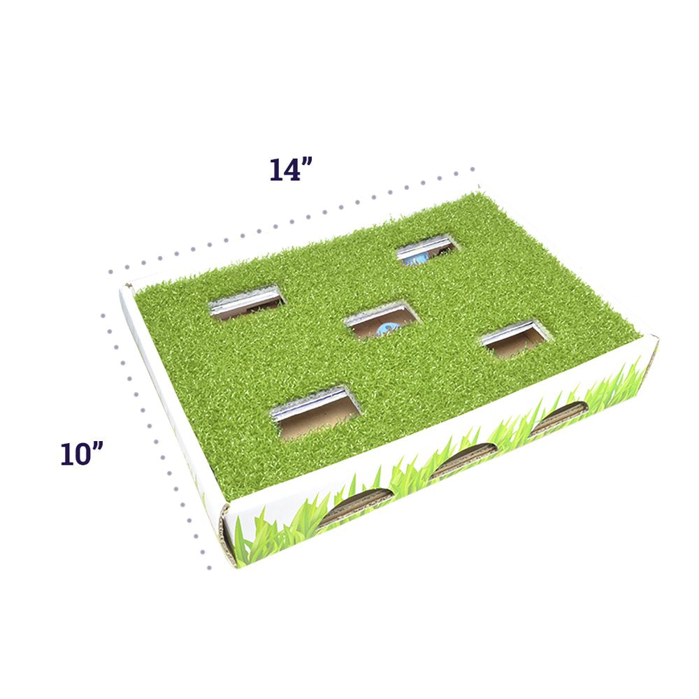 Petstages Grass Patch Hunting Box Interactive Cat Toy, Green, One-Size Animals & Pet Supplies > Pet Supplies > Cat Supplies > Cat Toys Outward Hound Holdings   