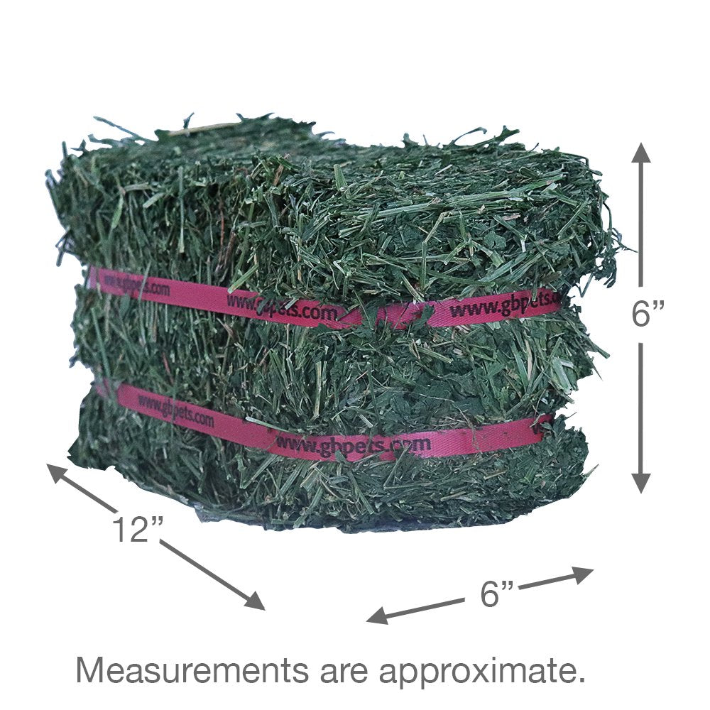 Grandpa'S Best Alfalfa Hay Mini Bale for Small Animals - 10Lb Animals & Pet Supplies > Pet Supplies > Small Animal Supplies > Small Animal Food Grandpa's Best LLC   