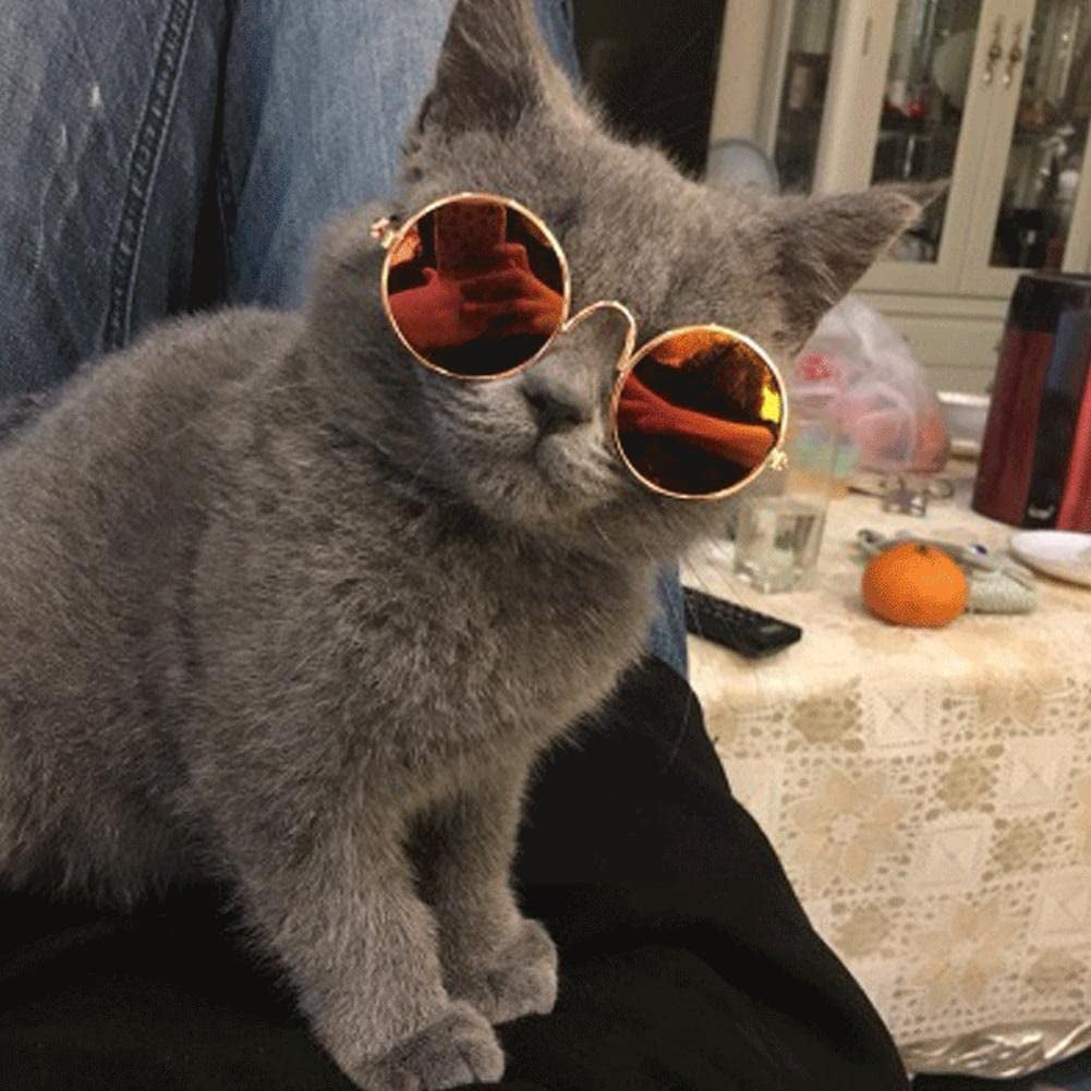 Small Pet Sunglasses Dog Cat Pet Lovely Vintage round Reflection Eye Wear Glasses Dog Cat Cosplay Party Costume Classic Funny Pet Accessories for Pet Animals & Pet Supplies > Pet Supplies > Dog Supplies > Dog Apparel Generic   