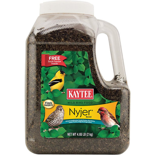 Kaytee Wild Bird Food Nyjer Seed Animals & Pet Supplies > Pet Supplies > Bird Supplies > Bird Food Kaytee Products, Inc.   