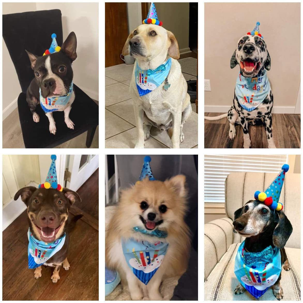 ADOGGYGO Dog Birthday Bandana Scarf and Dog Girl Boy Birthday Party Hat with Cute Dog Bow Tie for Small Medium Large Dog Pet (Large, Blue) Animals & Pet Supplies > Pet Supplies > Dog Supplies > Dog Apparel ADOGGYGO   