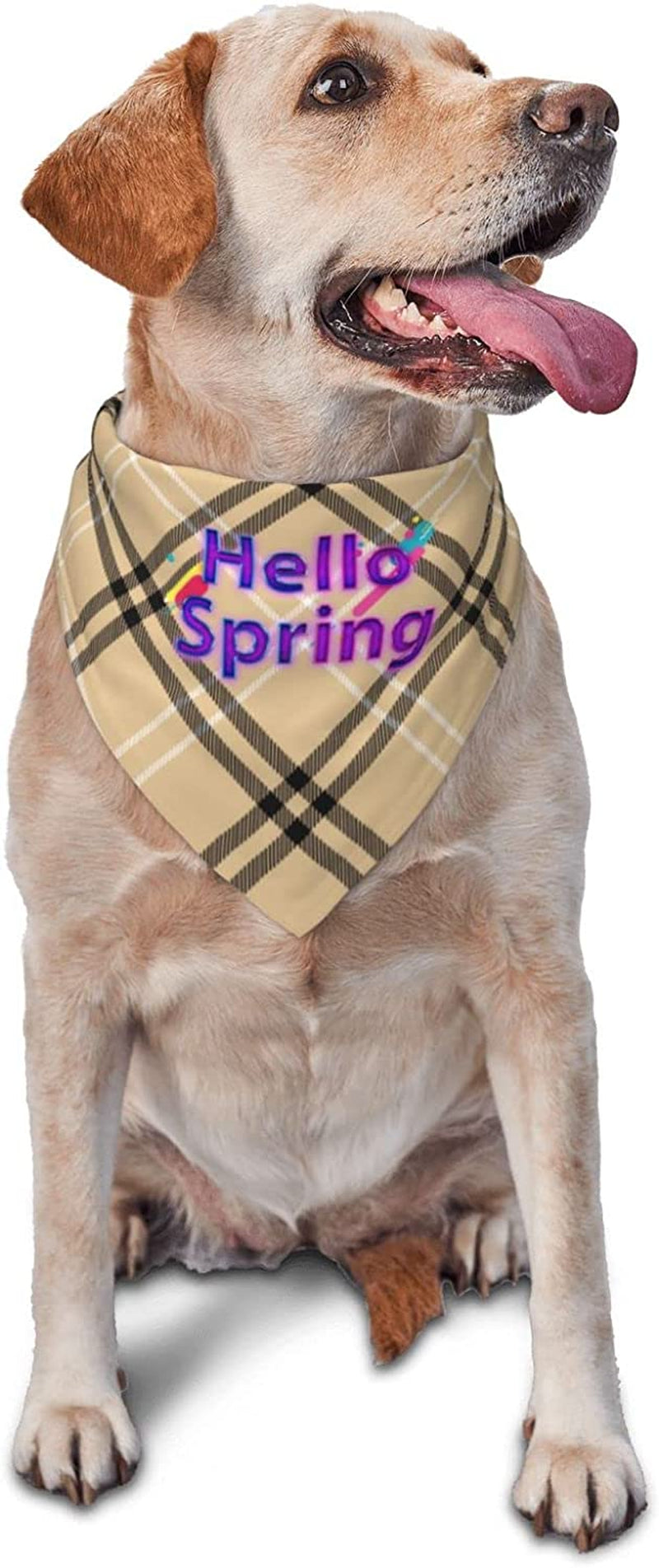 Blue Hello Spring Purple Pet Dog and Cat Decorative Triangle Scarf,Dog Bandana,Breathable and Stain Resistant. Animals & Pet Supplies > Pet Supplies > Dog Supplies > Dog Apparel ZALTAS   