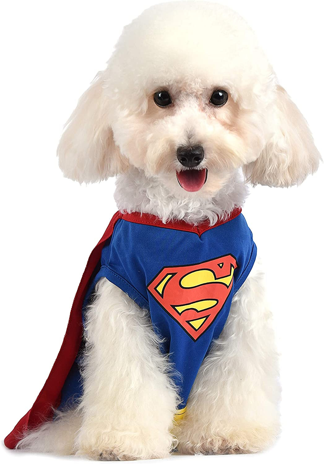 DC Comics Superman Dog Costume, Small (S) | Superhero Costume for Dogs | Red and Blue Dog Halloween Costumes for Small Dogs with Superman Cape | See Sizing Chart for Details Animals & Pet Supplies > Pet Supplies > Dog Supplies > Dog Apparel Fetch for Pets Medium  