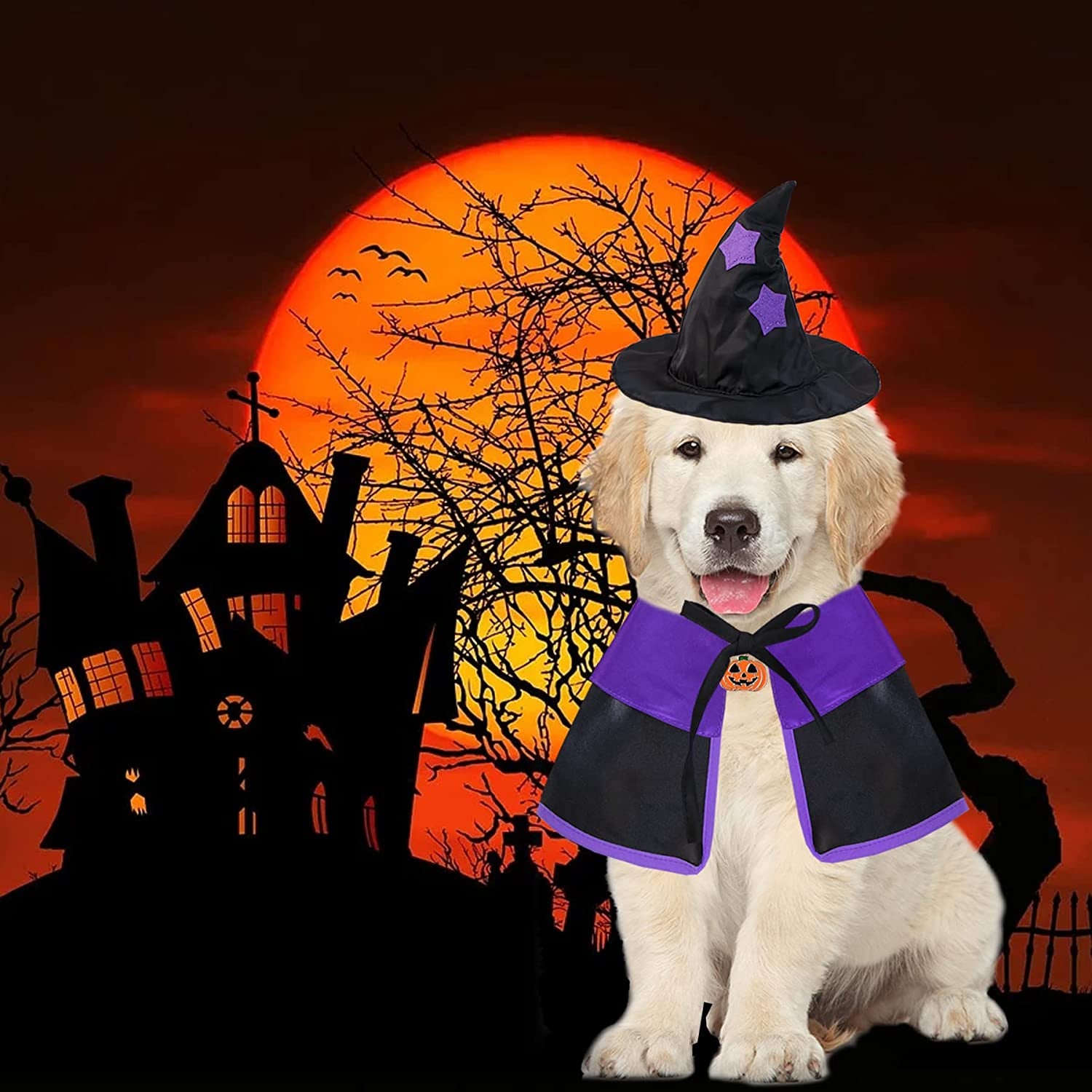 Dog hotsell wizard costume