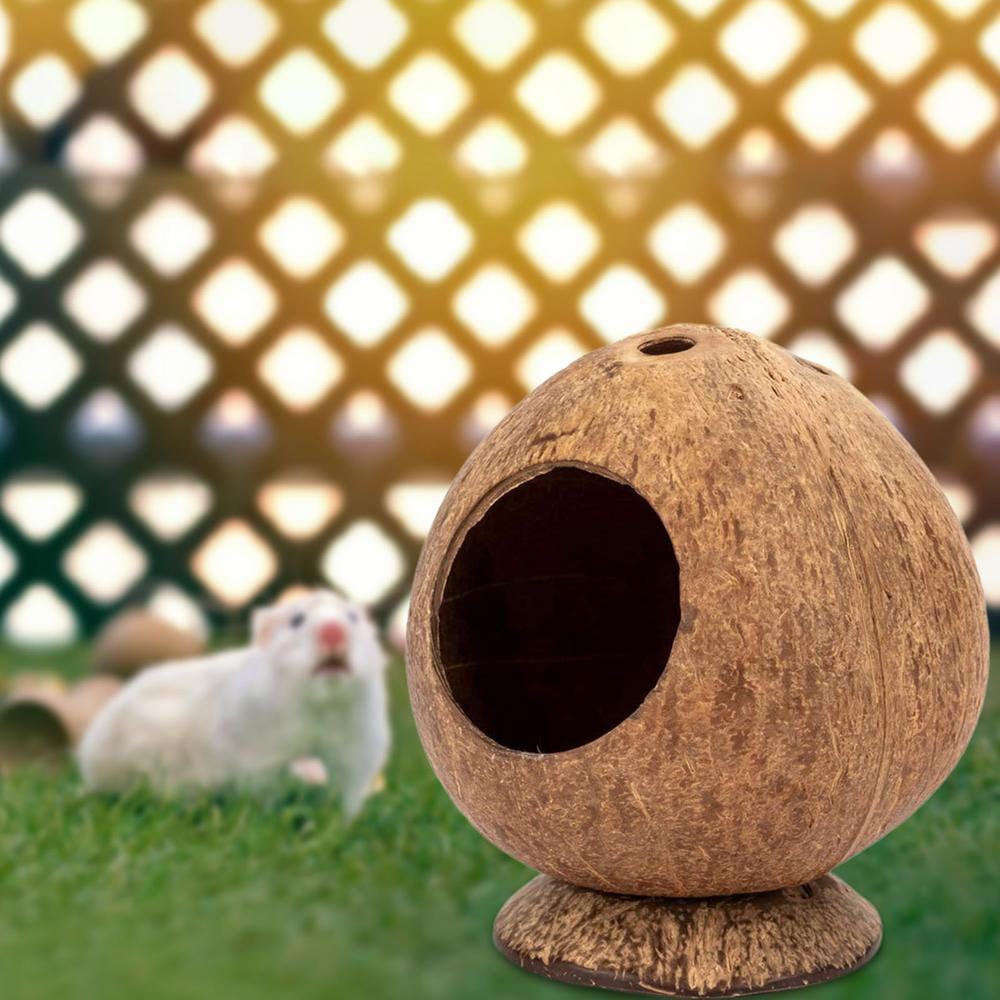 Famure Hamster House with Hole Opening Coconut Hamster Hideout Chew Toy Supplies Small Animal Pet Cage Nest Habitat Decor Accessories Natural Animals & Pet Supplies > Pet Supplies > Small Animal Supplies > Small Animal Habitats & Cages Famure   