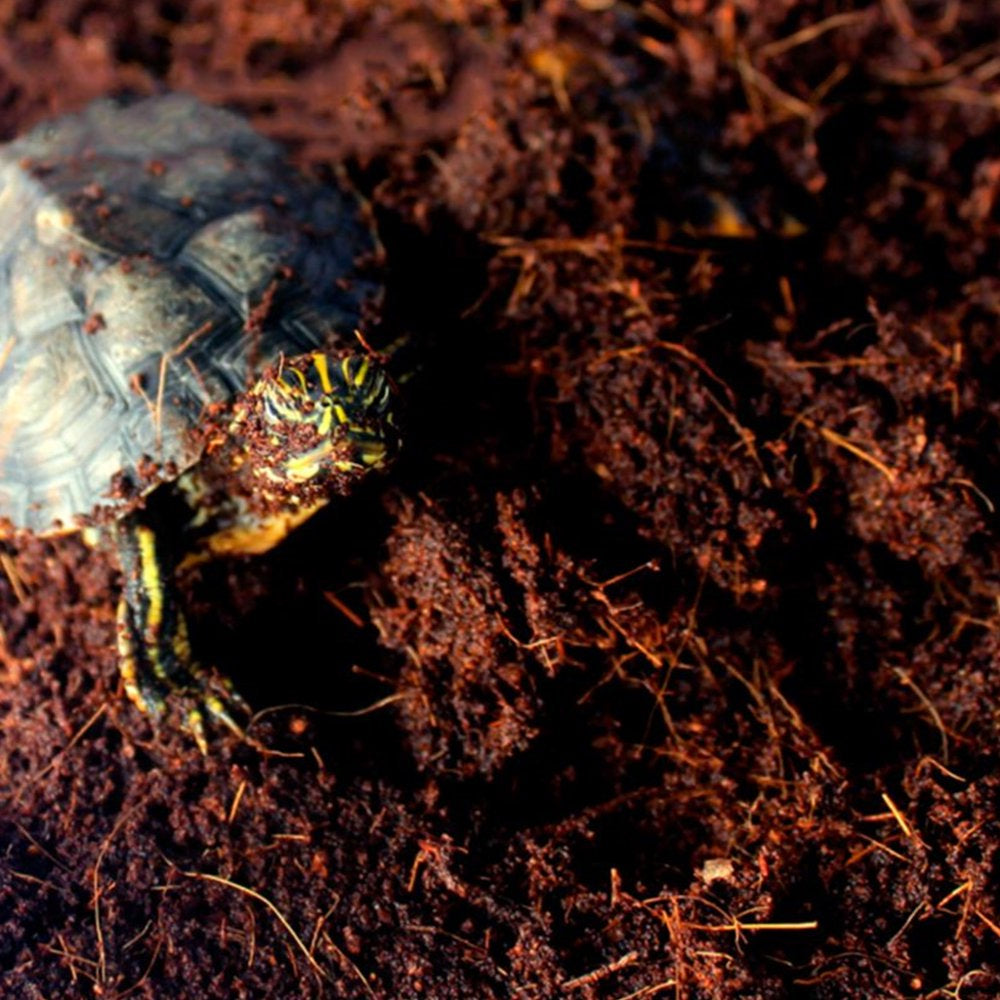 Tortoise Life Substrate Fibre Growing Media Gardening Art Supplies for Aquarium Animals & Pet Supplies > Pet Supplies > Fish Supplies > Aquarium Gravel & Substrates CHANCELAND   