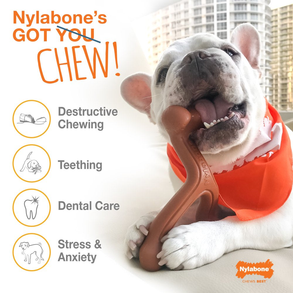 Nylabone Dental Dinosaur Power Chew Durable Dog Toy Chicken Flavor Large/Giant - up to 50 Lbs.
