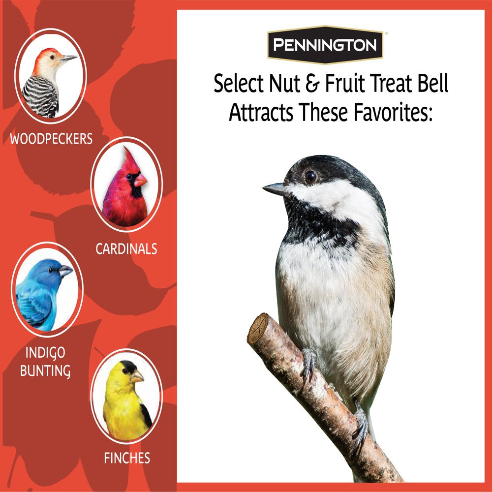 Pennington Nut and Fruit Treat Bell, Wild Bird Feed and Seed, 15 Oz Animals & Pet Supplies > Pet Supplies > Bird Supplies > Bird Treats Central Garden and Pet   