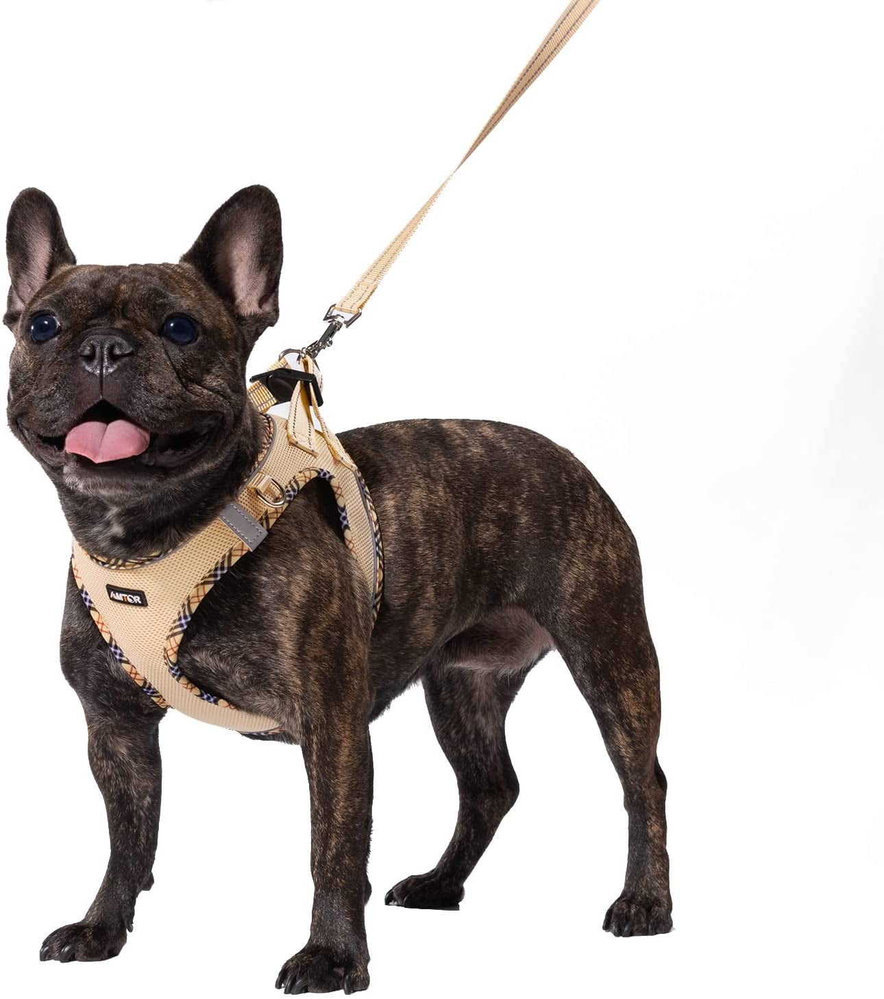 AMTOR Dog Harness with Leash Set,No Pull Adjustable Reflective Step-In Puppy Harness with Padded Vest for Extra-Small/Small Medium Large Dogs and Cats(Beige) Animals & Pet Supplies > Pet Supplies > Dog Supplies > Dog Apparel AMTOR Beige Small(Chest:13.5"-16.0") 