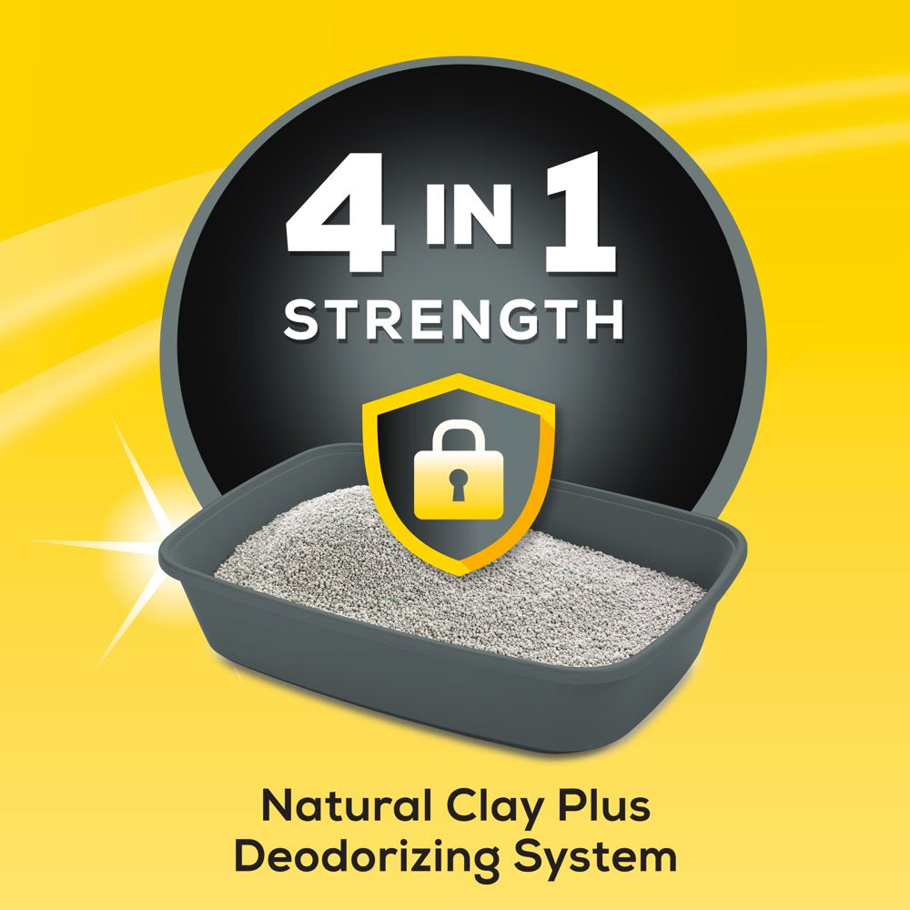 Purina Tidy Cats Clumping Cat Litter, 4-In-1 Strength Multi Cat Litter, 20 Lb. Jug Animals & Pet Supplies > Pet Supplies > Cat Supplies > Cat Litter Nestlé Purina PetCare Company   