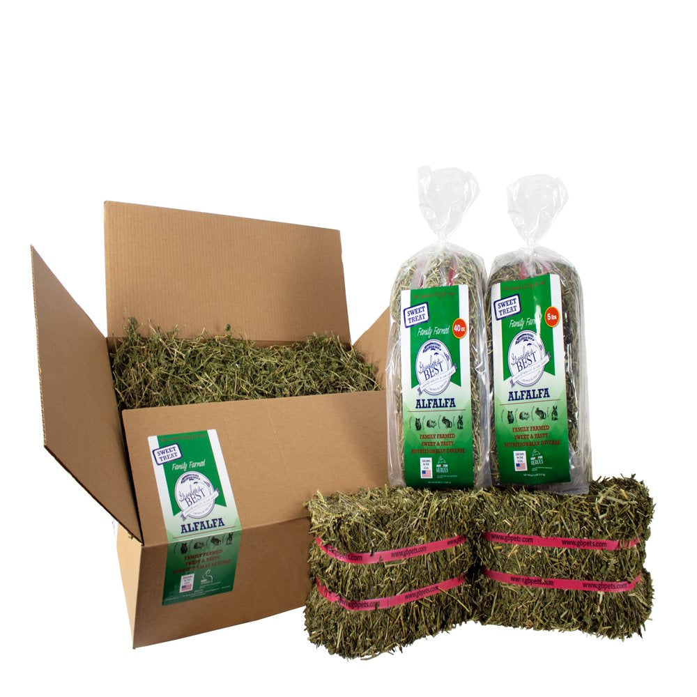Grandpa'S Best Alfalfa Hay Mini Bale for Small Animals - 5Lb Animals & Pet Supplies > Pet Supplies > Small Animal Supplies > Small Animal Food Grandpa's Best LLC   