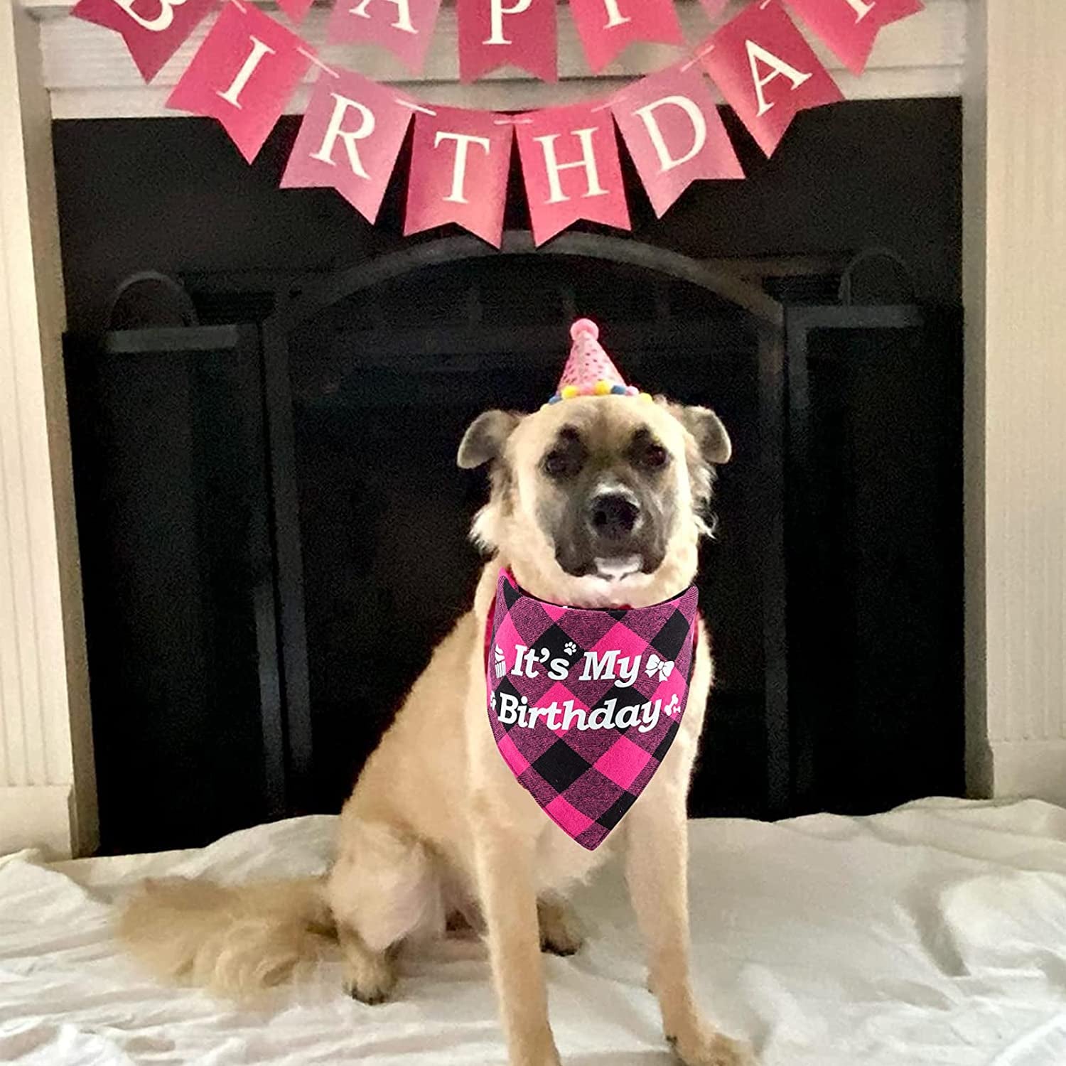 TCBOYING Dog Birthday Party Supplies, Dog Birthday Girl Bandana Triangle Hat Scarfs Flag Balloon Bow Tie Birthday Number with Cute Doggie Birthday Party Set Decorations Animals & Pet Supplies > Pet Supplies > Dog Supplies > Dog Apparel TCBOYING   