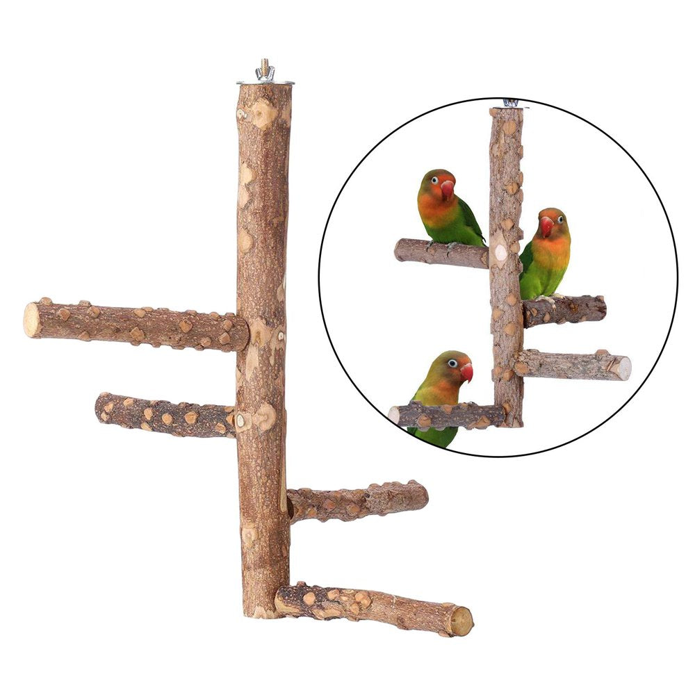 Bird Perch Nature Wood Branches Stand Toys in Bird Cage for 3 or 4 Small Medium Parrots Budgies Parakeet Cockatiels Lovebirds - M 10X25Cm Animals & Pet Supplies > Pet Supplies > Bird Supplies > Bird Cages & Stands Gazechimp   