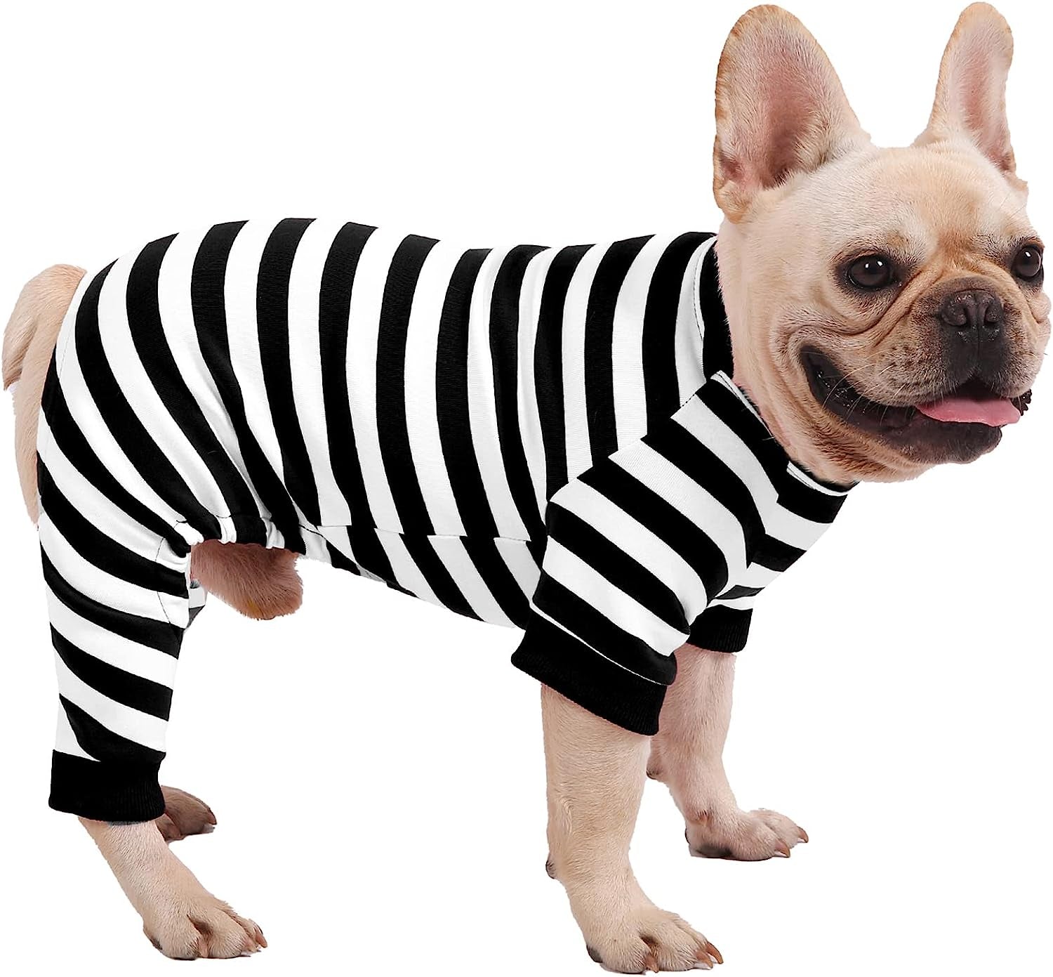 Black and hot sale white striped dog