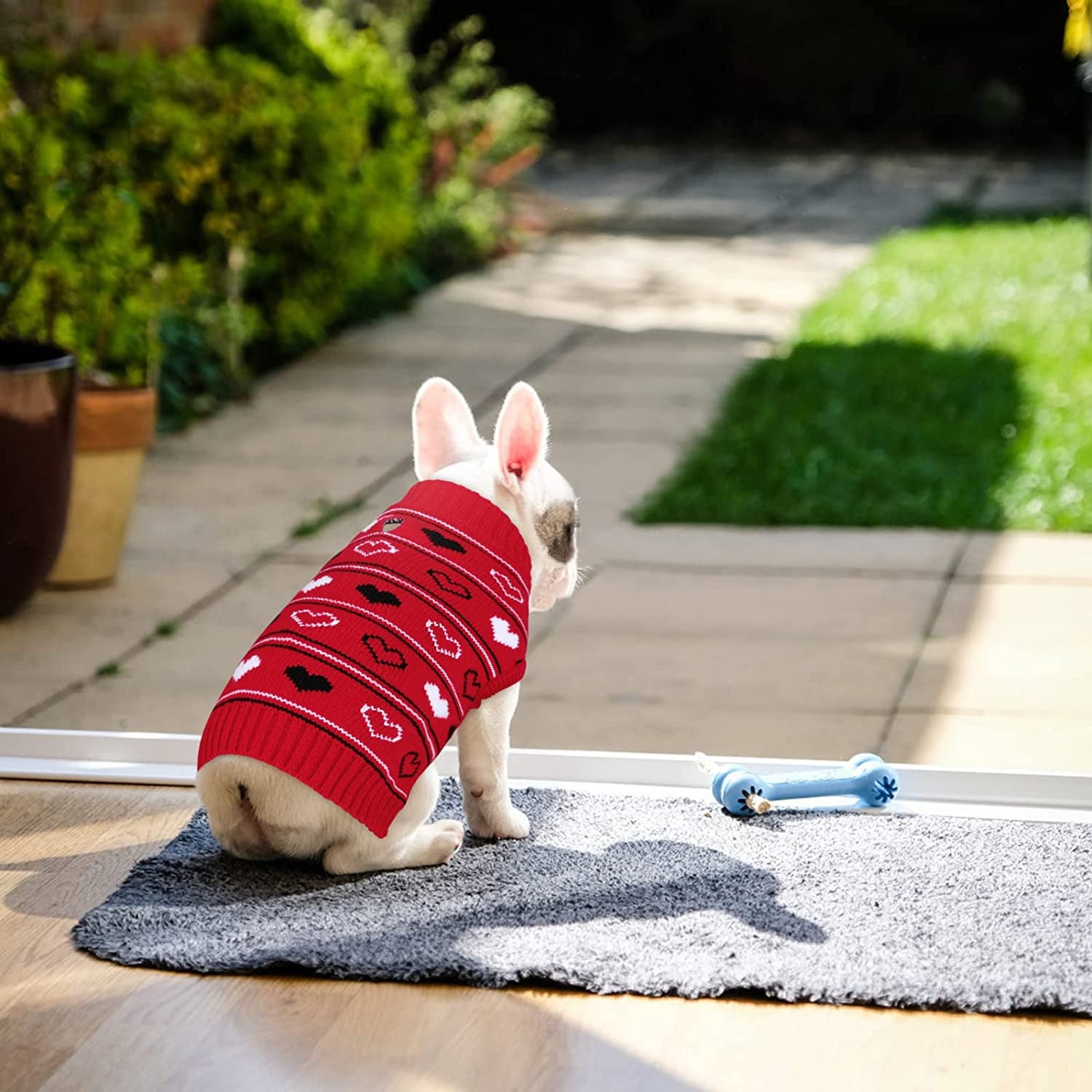 Dog Sweaters for Small Dogs Cute Pet Turtleneck Sweaters Puppy