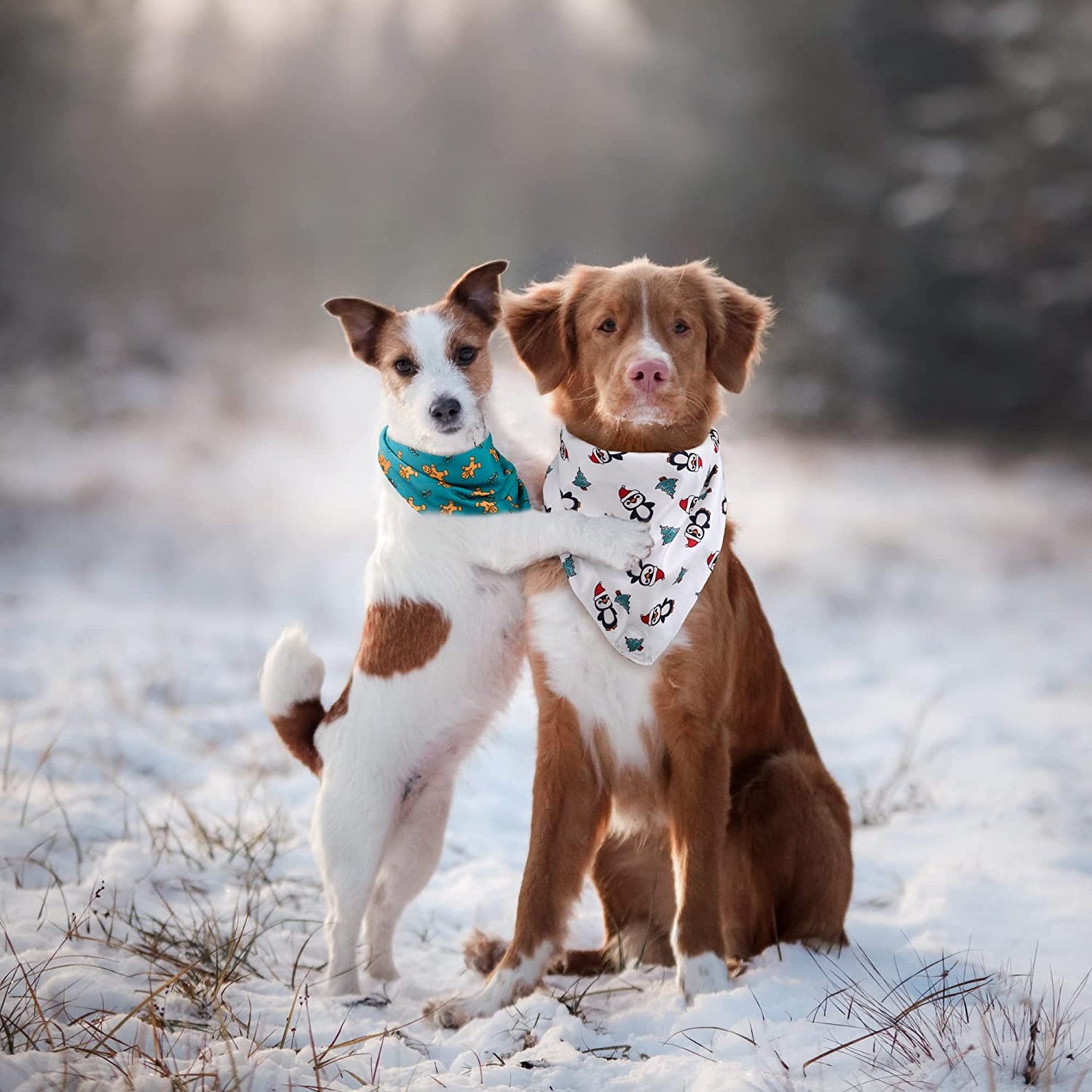 SHIBA LOGIC Christmas Dog Bandanas Pack of 2 - Xlarge - Reversible Dog Scarf Pet Bandana Puppy Bandana for Small Medium and Large Sized Girl and Boy Dogs - Holiday Themed Dog Apparel Accessories Animals & Pet Supplies > Pet Supplies > Dog Supplies > Dog Apparel Shiba Logic   