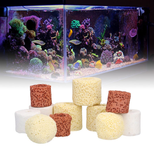 Dioche Bio Balls Ceramic Rings Set Nature Stable Aquarium Biological Filter Media for Fish Tank Aquarium Animals & Pet Supplies > Pet Supplies > Fish Supplies > Aquarium Filters Dioche   