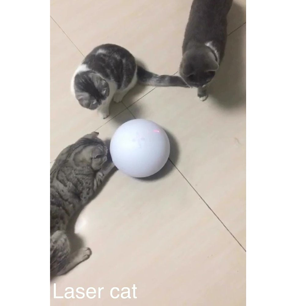 Laser Cat, Wobbling Laser Treat Toy for Cats Animals & Pet Supplies > Pet Supplies > Cat Supplies > Cat Toys L'chic   