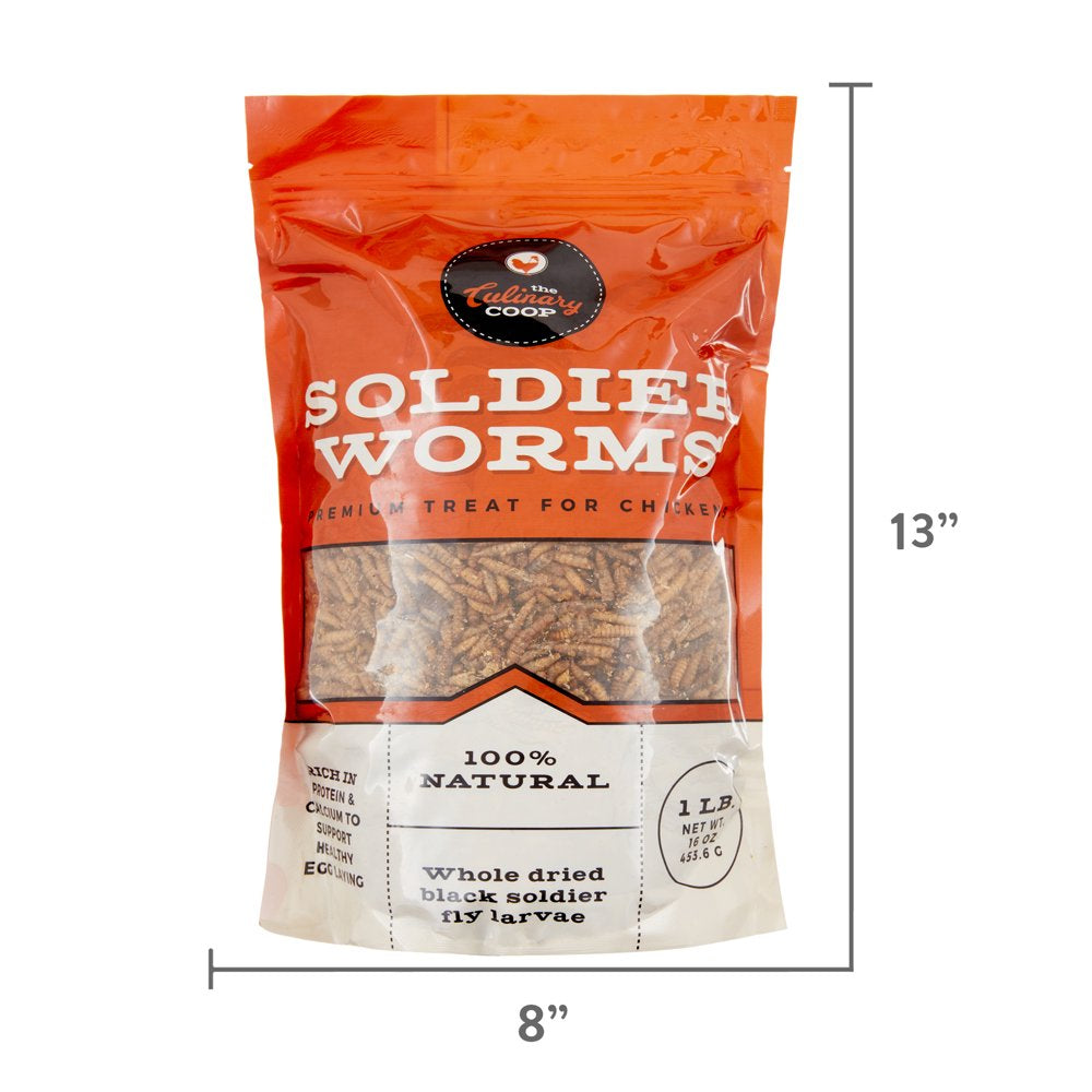 Culinary Coop Dried Soldierworm Treats for Chickens 16Oz Animals & Pet Supplies > Pet Supplies > Bird Supplies > Bird Treats Fluker's   