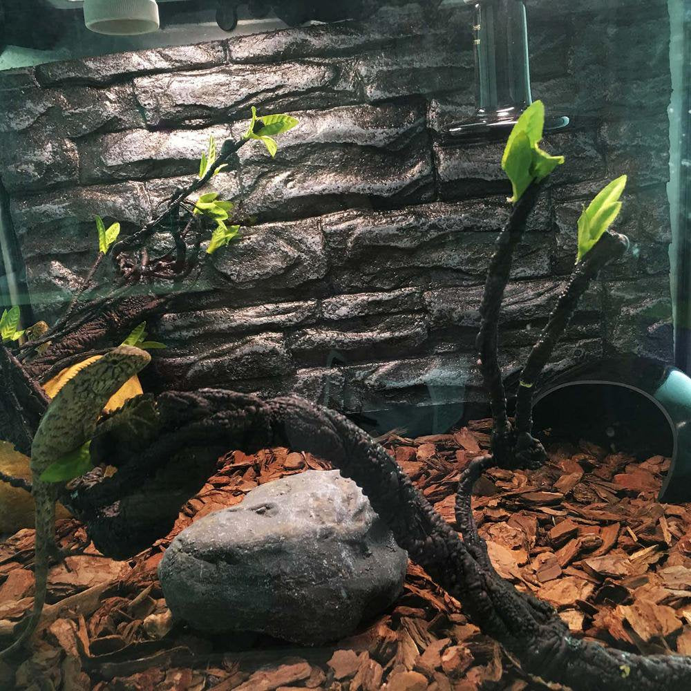 Catinbow Reptile Climbing Vines Plastics Jungle Vines Branches Habitat Terrarium Plant Decoration Accessories for Climbing Lizard Bearded Dragon Chameleon Lizards Snakes 2 Styles Dependable Animals & Pet Supplies > Pet Supplies > Small Animal Supplies > Small Animal Habitat Accessories Catinbow   