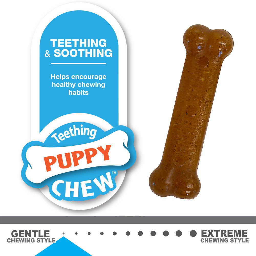 Nylabone Classic Puppy Chew Flavored Durable Dog Chew Toy Bones X-Small/Petite (2 Count) Animals & Pet Supplies > Pet Supplies > Dog Supplies > Dog Toys Central Garden and Pet   