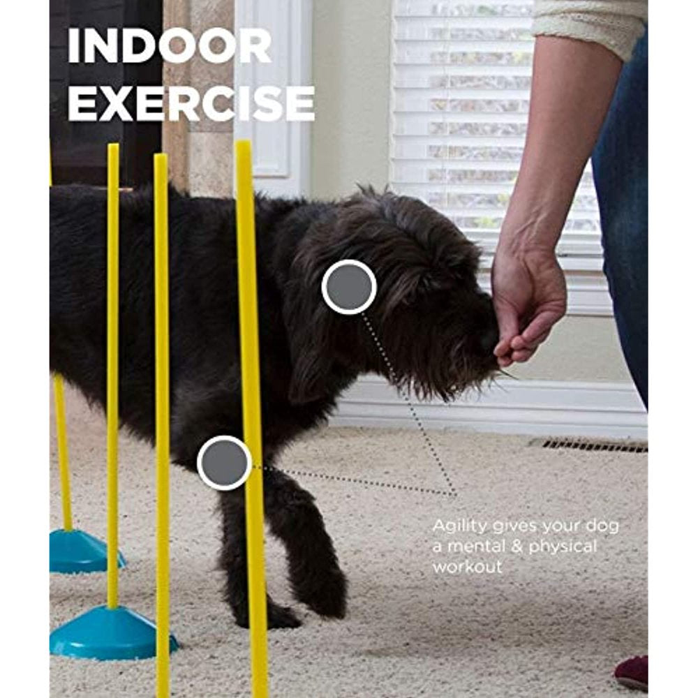 Outward Hound Dog Agility Starter Kit Indoor Animals & Pet Supplies > Pet Supplies > Dog Supplies > Dog Treadmills Outward Hound   