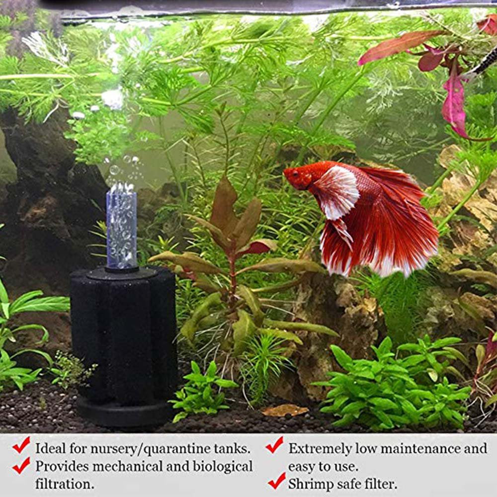 Biochemical Sponge Betta Filter for Aquarium Suitable for Fry & Small Fish Animals & Pet Supplies > Pet Supplies > Fish Supplies > Aquarium Filters Sonorilo   