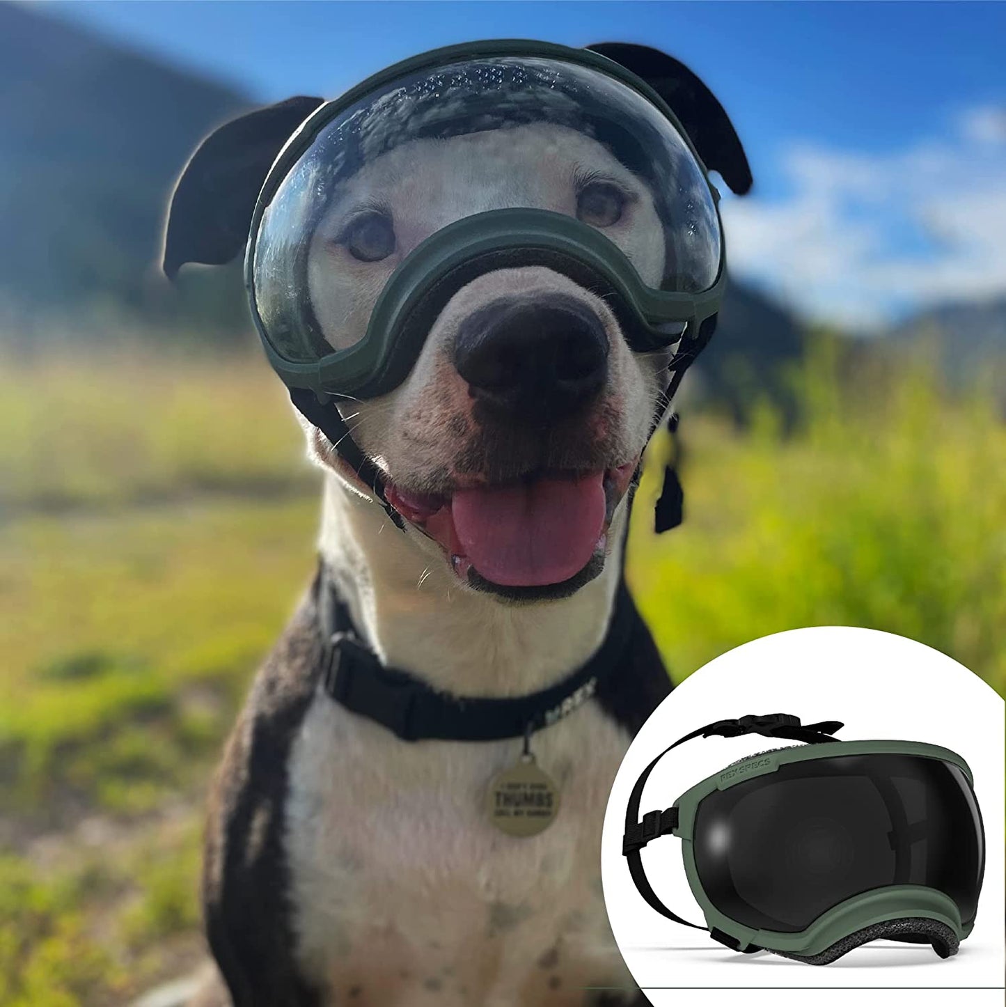 Rex Specs V2 Dog Goggles (Large, Tazer Teal) Animals & Pet Supplies > Pet Supplies > Dog Supplies > Dog Apparel Rex Specs Army Green Large 