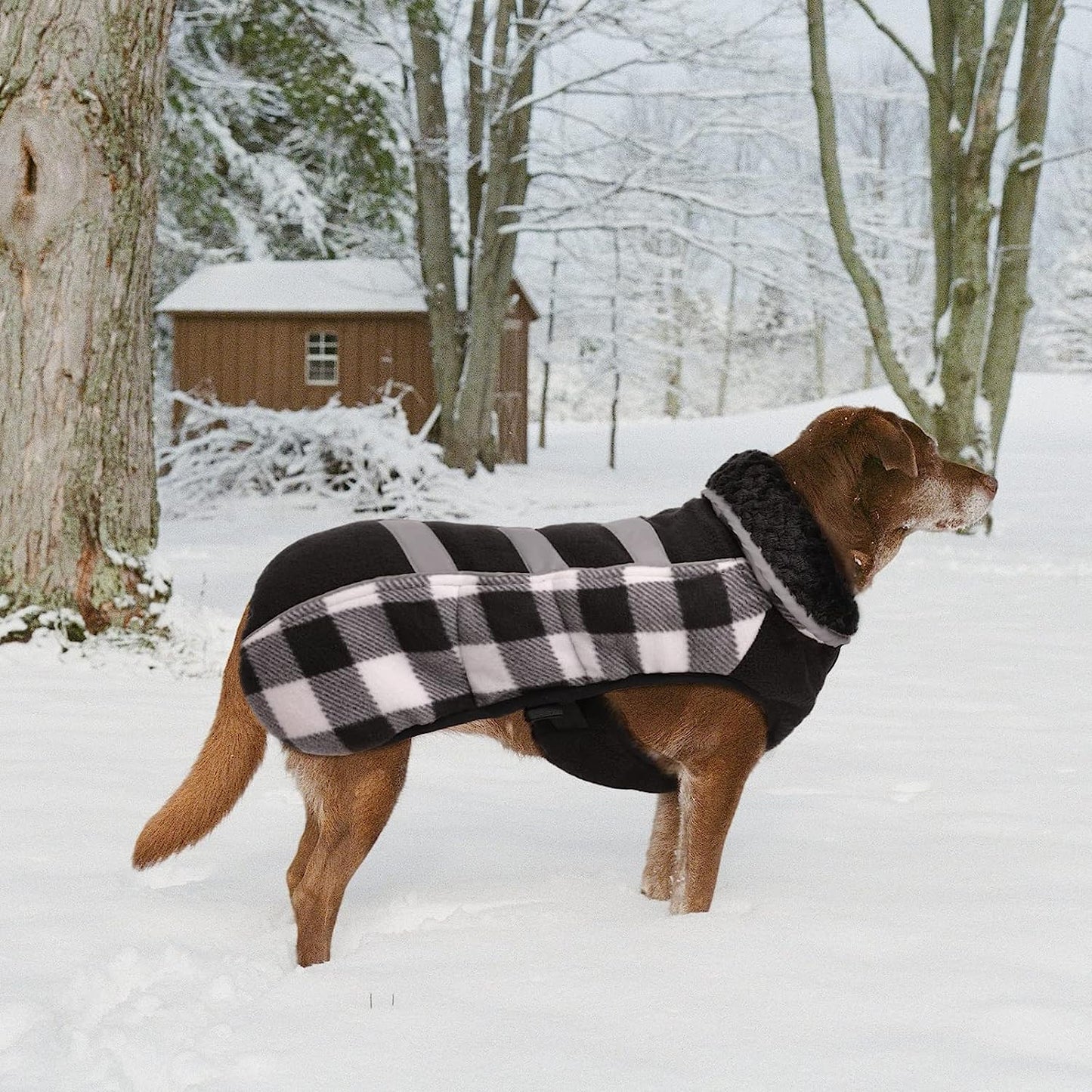 MAZORT Dog Winter Coat, Thick Warm Fleece Dog Jacket with Reflective Strips, Plaid Pet Cold Weather Apparel Clothes for Small Medium Large Dogs (White, Medium) Animals & Pet Supplies > Pet Supplies > Dog Supplies > Dog Apparel MAZORT   