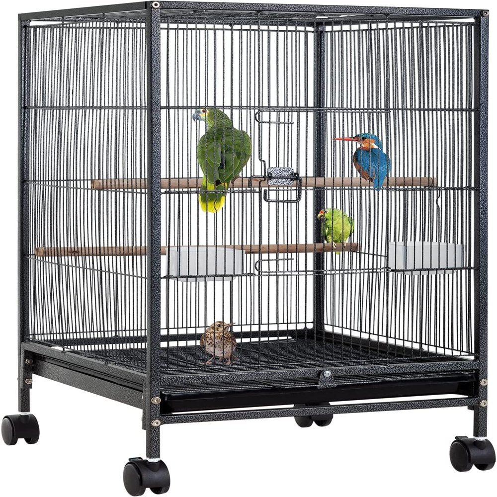 CL.HPAHKL 35 Inch Height Bird Cage with Perches, Large Metal Rolling Bird Cages for Parakeets with Stand Heavy Duty Parrot Cage for Parrots Conure Lovebird Cockatiel Animals & Pet Supplies > Pet Supplies > Bird Supplies > Bird Cages & Stands CL.HPAHKL   