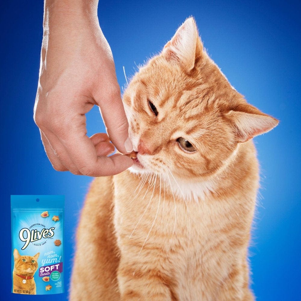 9Lives Ocean Medley Flavor Soft Cat Treats, 2.1Oz Made with Real Tuna & Salmon Soft Chewy Irresistible Fun Shaped Bite-Sized Feline Food (Pack of 2)