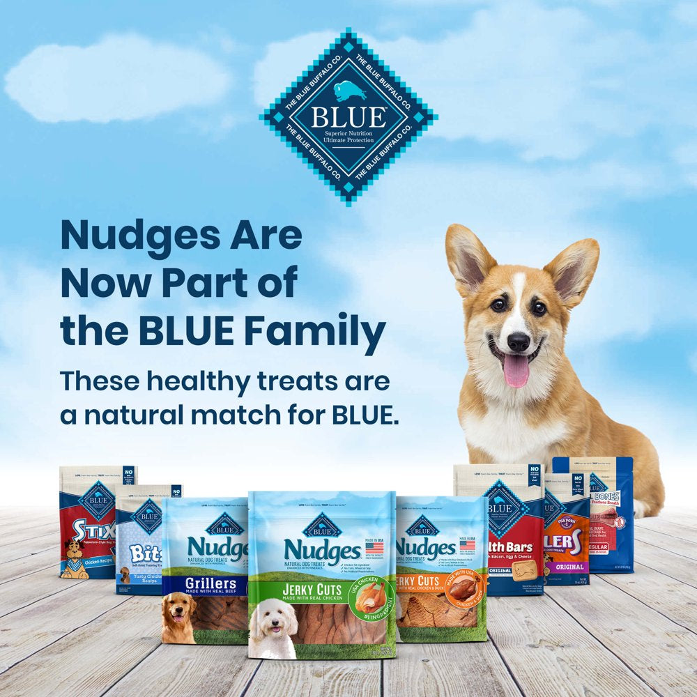 Blue Buffalo Nudges Jerky Cuts Natural Dog Treats, Chicken and Duck, 16Oz Bag Animals & Pet Supplies > Pet Supplies > Dog Supplies > Dog Treats Blue Buffalo   