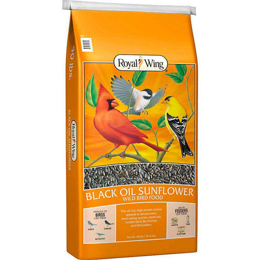 Royal Wing Black Oil Sunflower Wild Bird Food, 40 Lb. Animals & Pet Supplies > Pet Supplies > Bird Supplies > Bird Food Royal Wing   