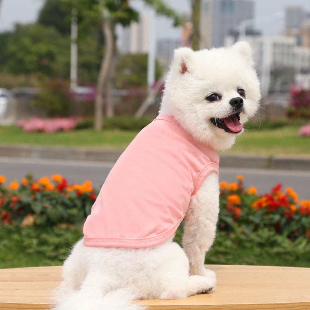 SPRING PARK Dog Blank Shirts Solid Color round Neck Dog T-Shirts Cotton Breathable and Soft Puppy Vest Summer Basic Dog Clothes Apparel for Most Pets Dogs Cats Animals & Pet Supplies > Pet Supplies > Cat Supplies > Cat Apparel SPRING PARK   