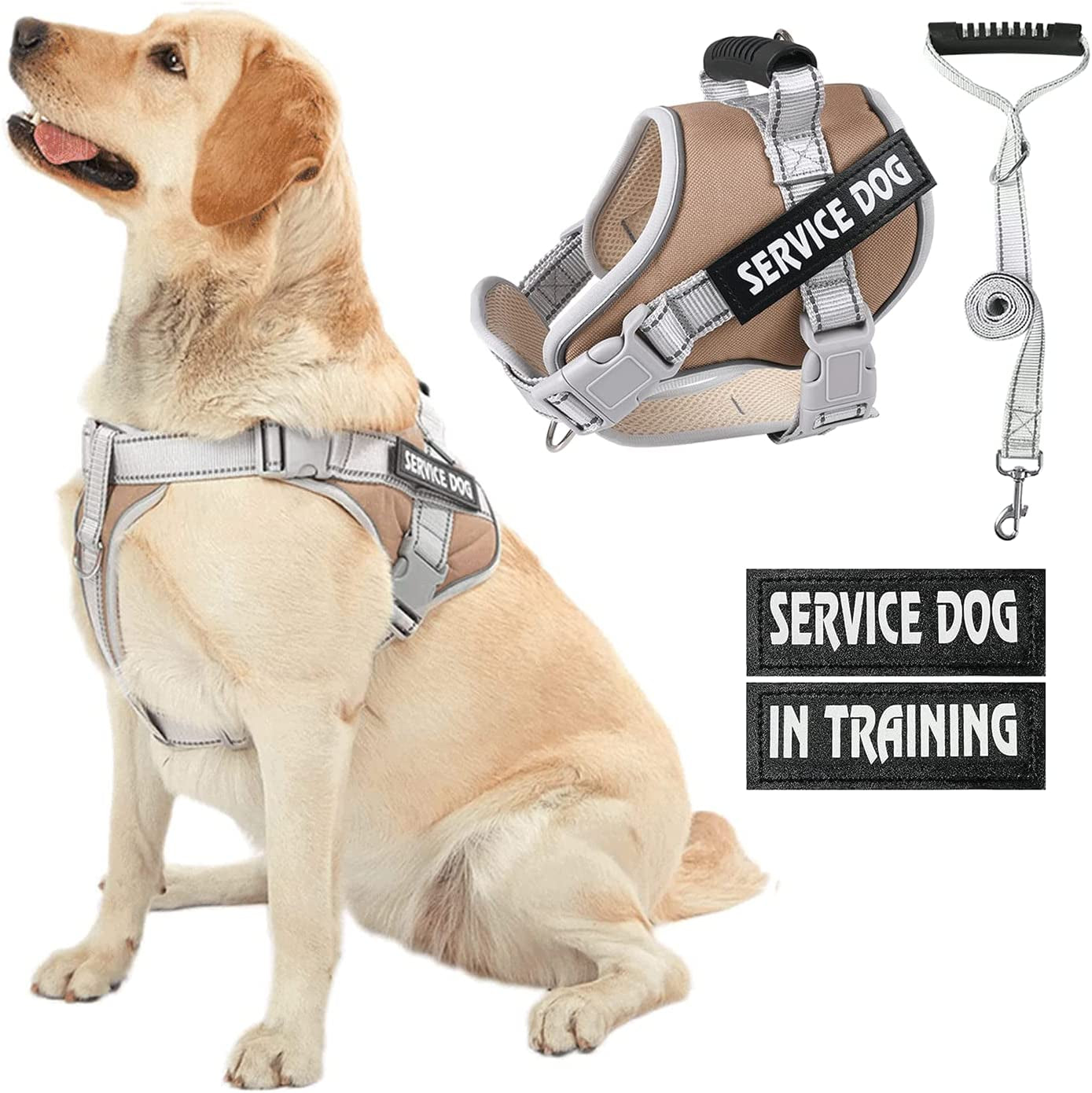 HUSDOW Service Dog Vest Harness, No Pull in Trainning Dog Harnesses with Handle & 5Ft Dog Leash, Adjustable and Reflective No Chock for Small Medum Large Pets Walking and Running(Pink, M)