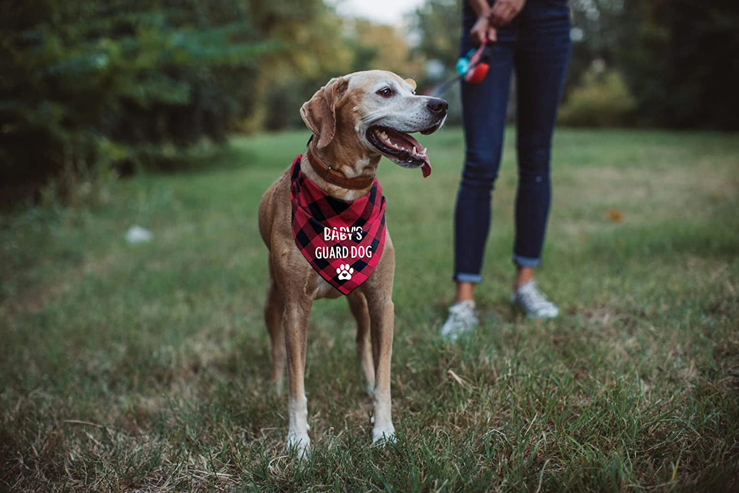 Ptzizi Funny Red Plaid Cotton Dog Baby'S Guard Security Triangle Bandana, Pet Dog New Baby Shower Photograph Props Scarf Scarves Decorations Pet Dog Lovers Owner Gift Animals & Pet Supplies > Pet Supplies > Dog Supplies > Dog Apparel Ptzizi   