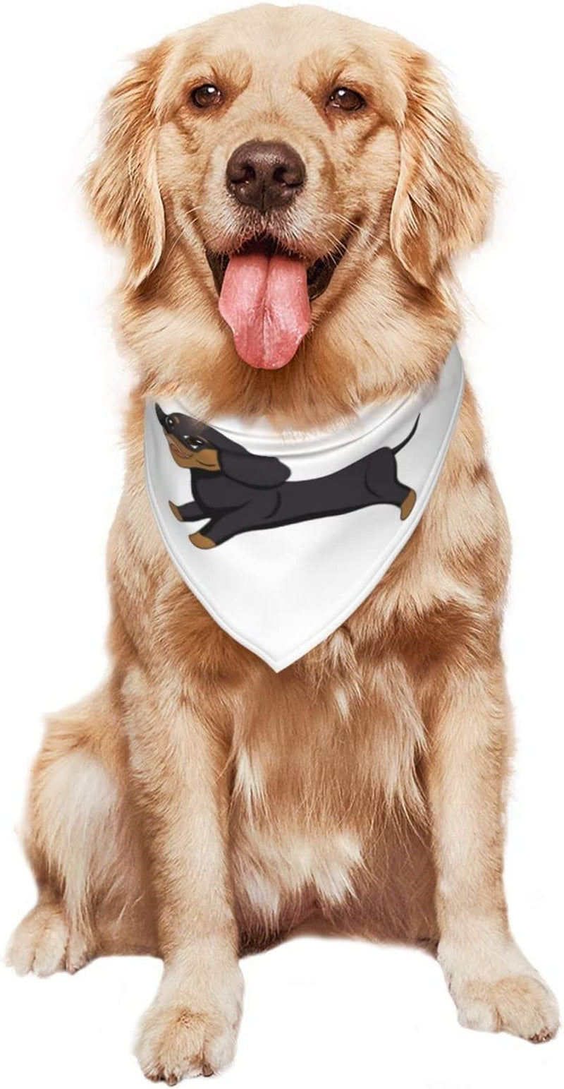 Dachshund on the Run Pet Dog and Cat Decorative Triangle Scarf,Dog Bandana,Breathable and Stain Resistant. Animals & Pet Supplies > Pet Supplies > Dog Supplies > Dog Apparel ZALTAS   