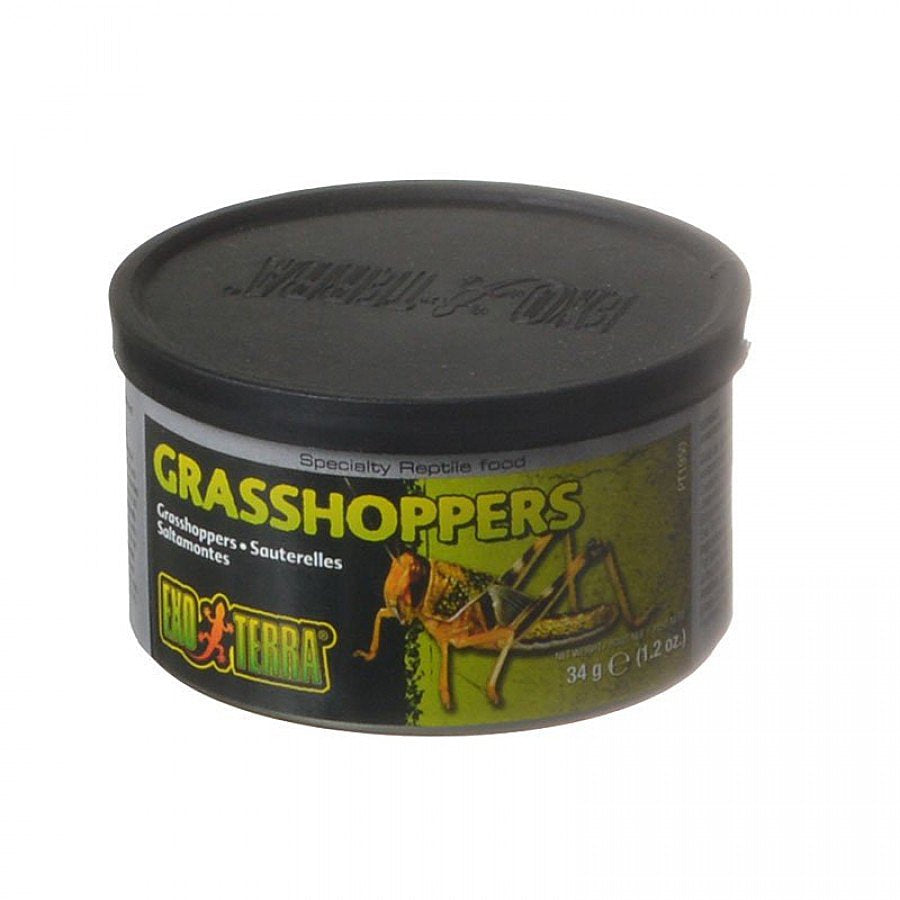 Exo Terra Grasshopper Reptile Food, Insects, 1.2 Oz. Can Animals & Pet Supplies > Pet Supplies > Reptile & Amphibian Supplies > Reptile & Amphibian Food Exo Terra   