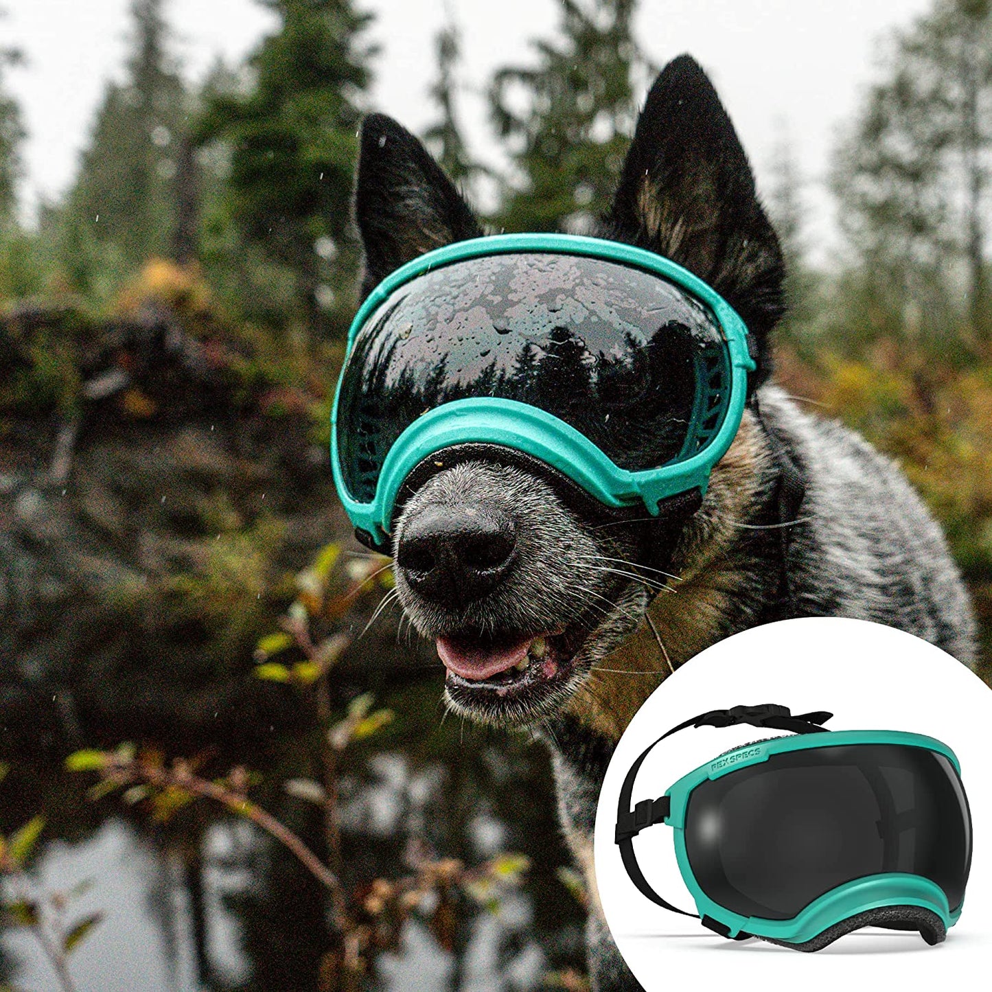 Rex Specs V2 Dog Goggles (Large, Tazer Teal) Animals & Pet Supplies > Pet Supplies > Dog Supplies > Dog Apparel Rex Specs Tazer Teal Small 