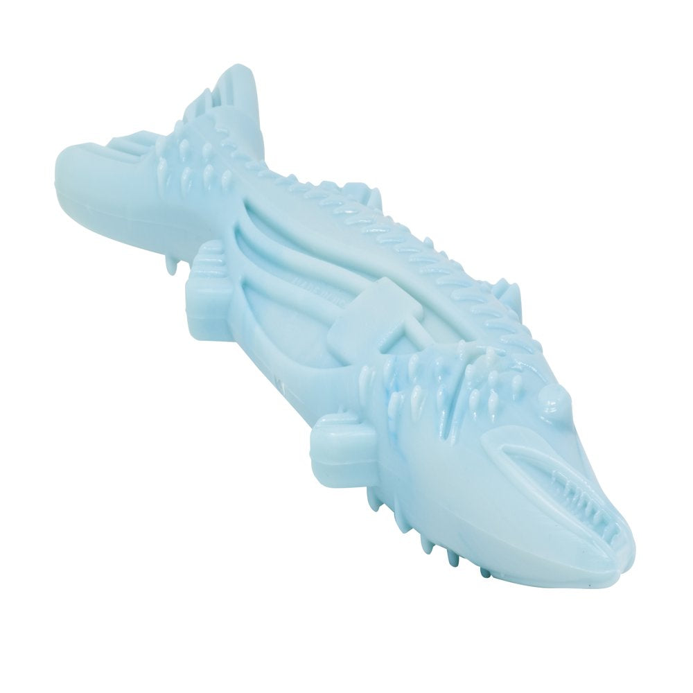 Vibrant Life Barracuda Tough Buddy Recycled Chew Toy, Medium Animals & Pet Supplies > Pet Supplies > Dog Supplies > Dog Toys Vibrant Life   