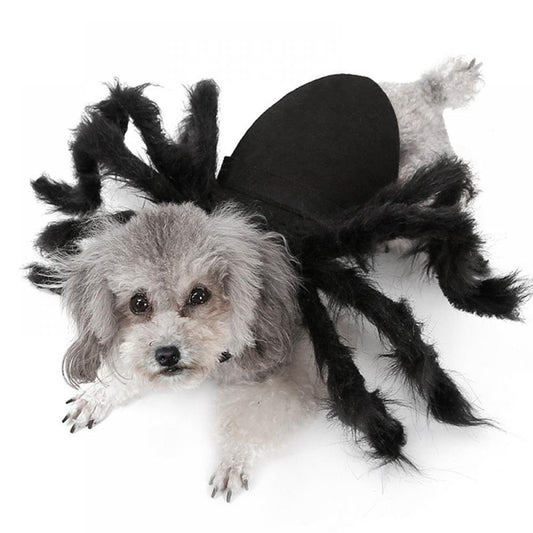 Tarantula Spider Costume, for Pet (Small) Spider - Pet Cosplay Costume Dog Cat Costume Apparel Accessories Animals & Pet Supplies > Pet Supplies > Dog Supplies > Dog Apparel Groomer S  