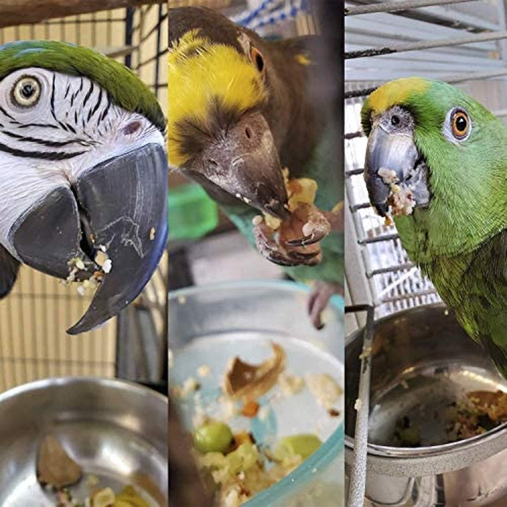 Bird Street Bistro Natural Organic Grains Parrot Food Cooks in 3-15 Min Animals & Pet Supplies > Pet Supplies > Bird Supplies > Bird Food Bird Street Bistro   