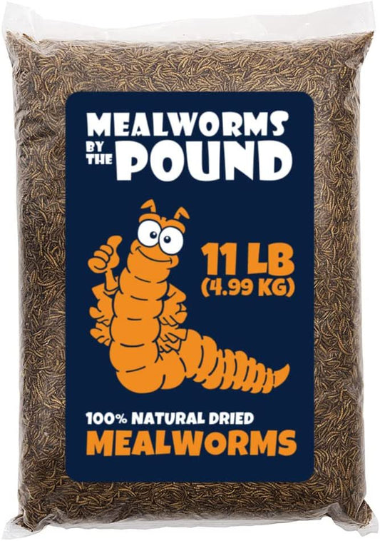 MBTP Bulk Dried Mealworms - Treats for Chickens & Wild Birds (11 Lbs)
