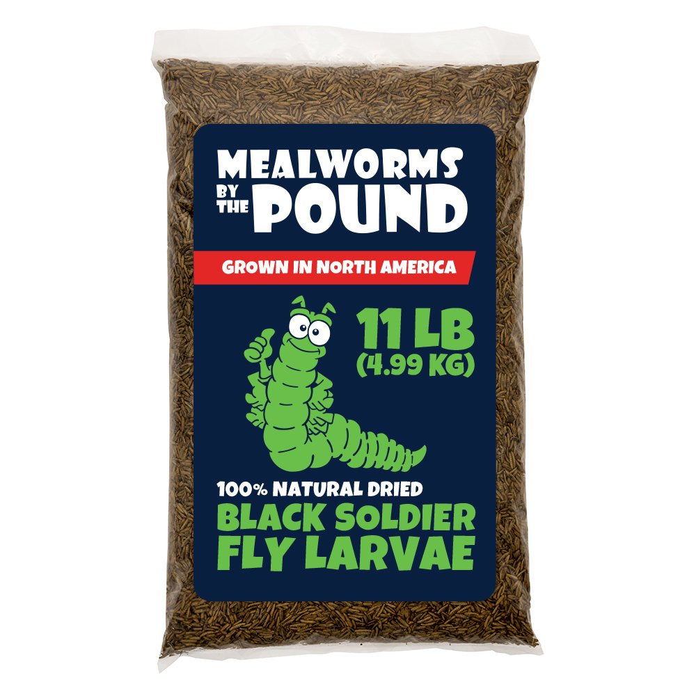 North American Grown Dried Black Soldier Fly Larva (11 Lbs) - More Calcium than Mealworms - Treats for Chickens, Wild Birds, & Reptiles Animals & Pet Supplies > Pet Supplies > Bird Supplies > Bird Treats Mealworms by the Pound   