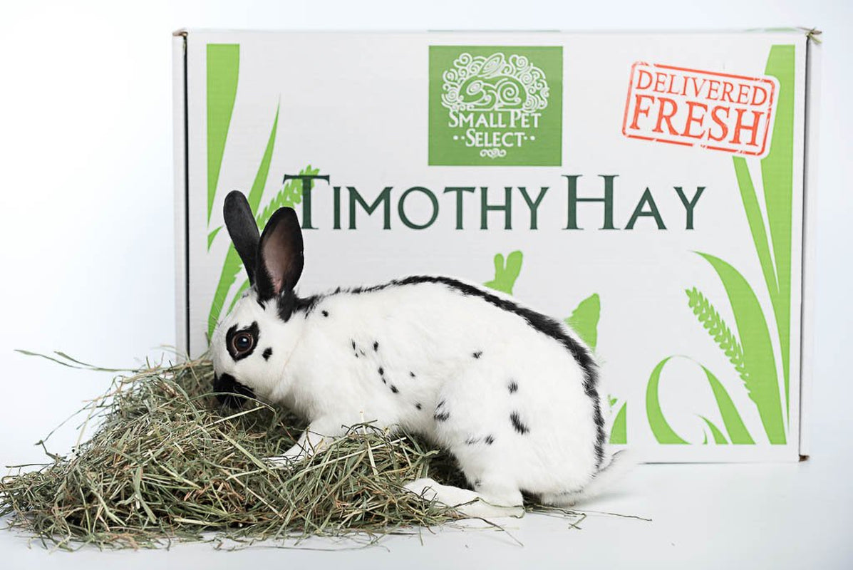 Small Pet Select 3Rd Cutting "Super Soft" Timothy Hay Pet Food, 2 Lb.