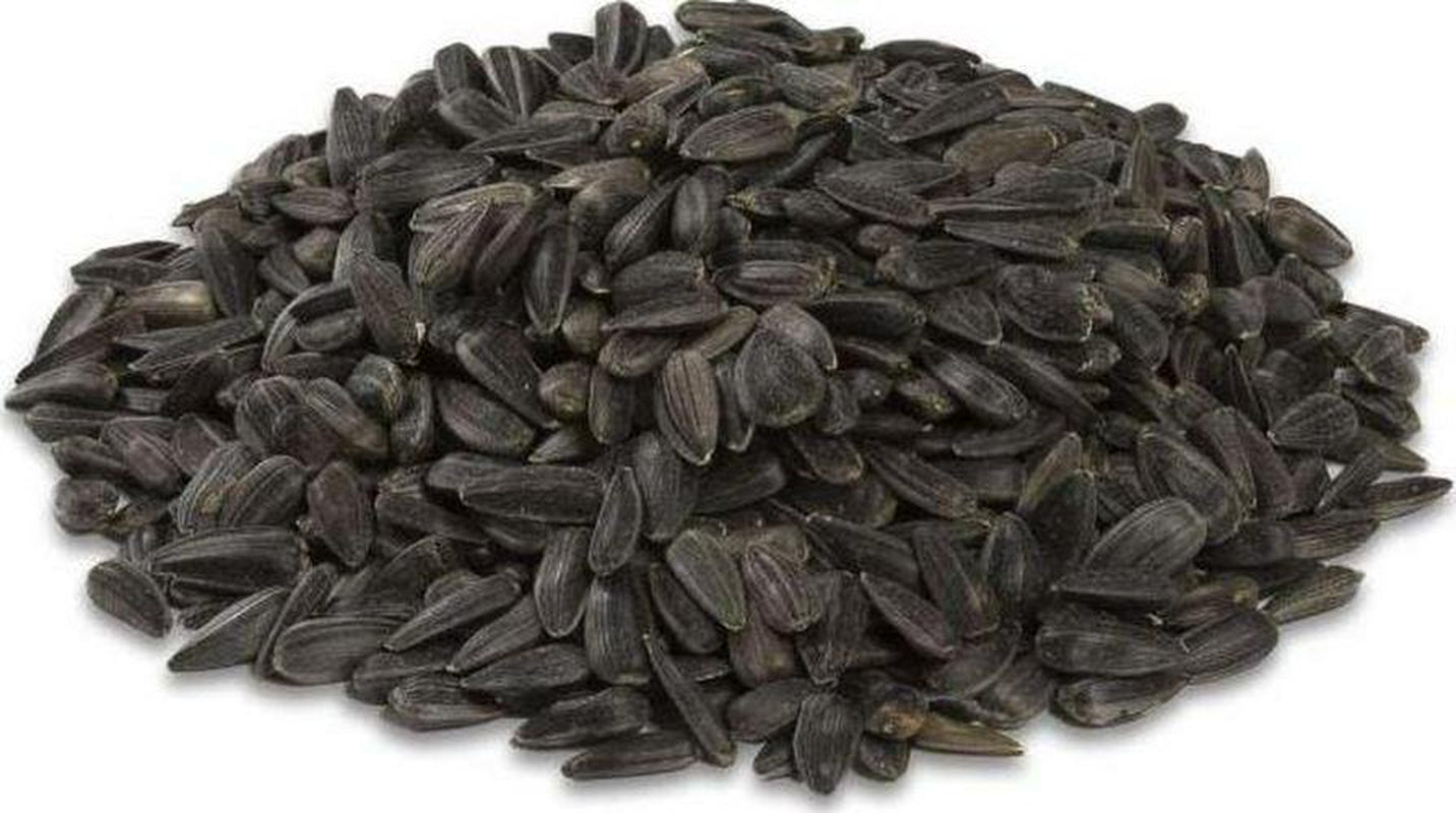 Royal Wing Black Oil Sunflower Wild Bird Food, 40 Lb. Animals & Pet Supplies > Pet Supplies > Bird Supplies > Bird Food Royal Wing   