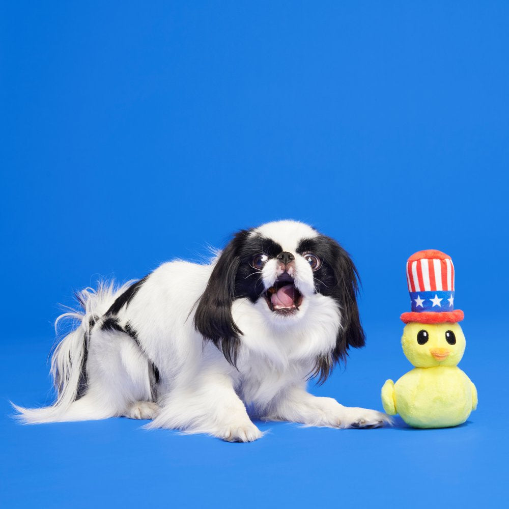 BARK Uncle Duck Super Chewer - Yankee Doodle Dog Toy, Great for Photo Ops, XS-M Dogs Animals & Pet Supplies > Pet Supplies > Dog Supplies > Dog Toys BARK   