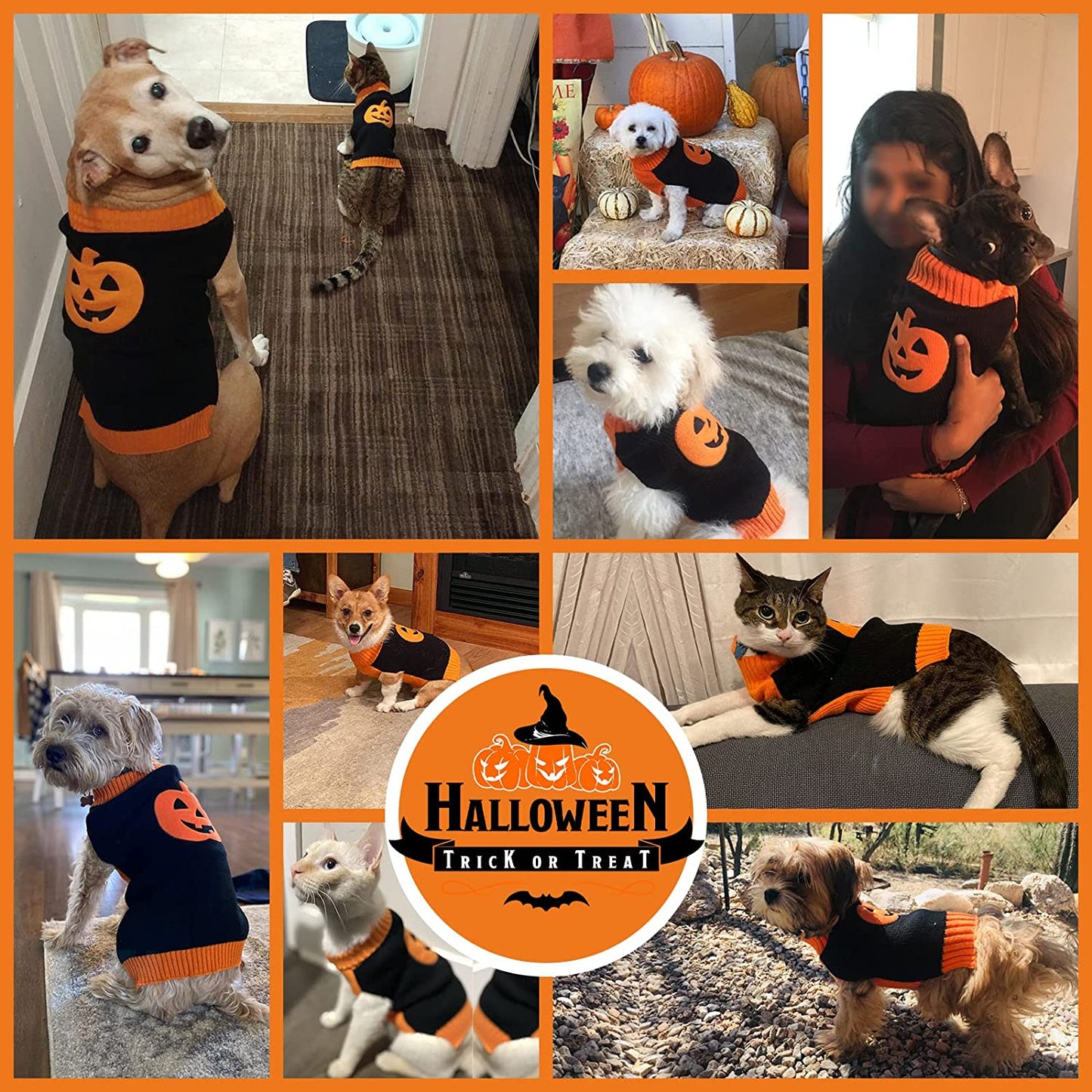 PETCARE Halloween Dog Sweater Ugly Funny Pumpkin Puppy Sweaters Halloween Costumes for Small Medium Large Dogs Cats Fall Winter Warm Soft Knit Vest Pet Dog Cat Kitten Clothes Big Dog Outfits Animals & Pet Supplies > Pet Supplies > Dog Supplies > Dog Apparel Yi Wu Shi Jia Chong Dian Zi Shang Wu Shang Hang   