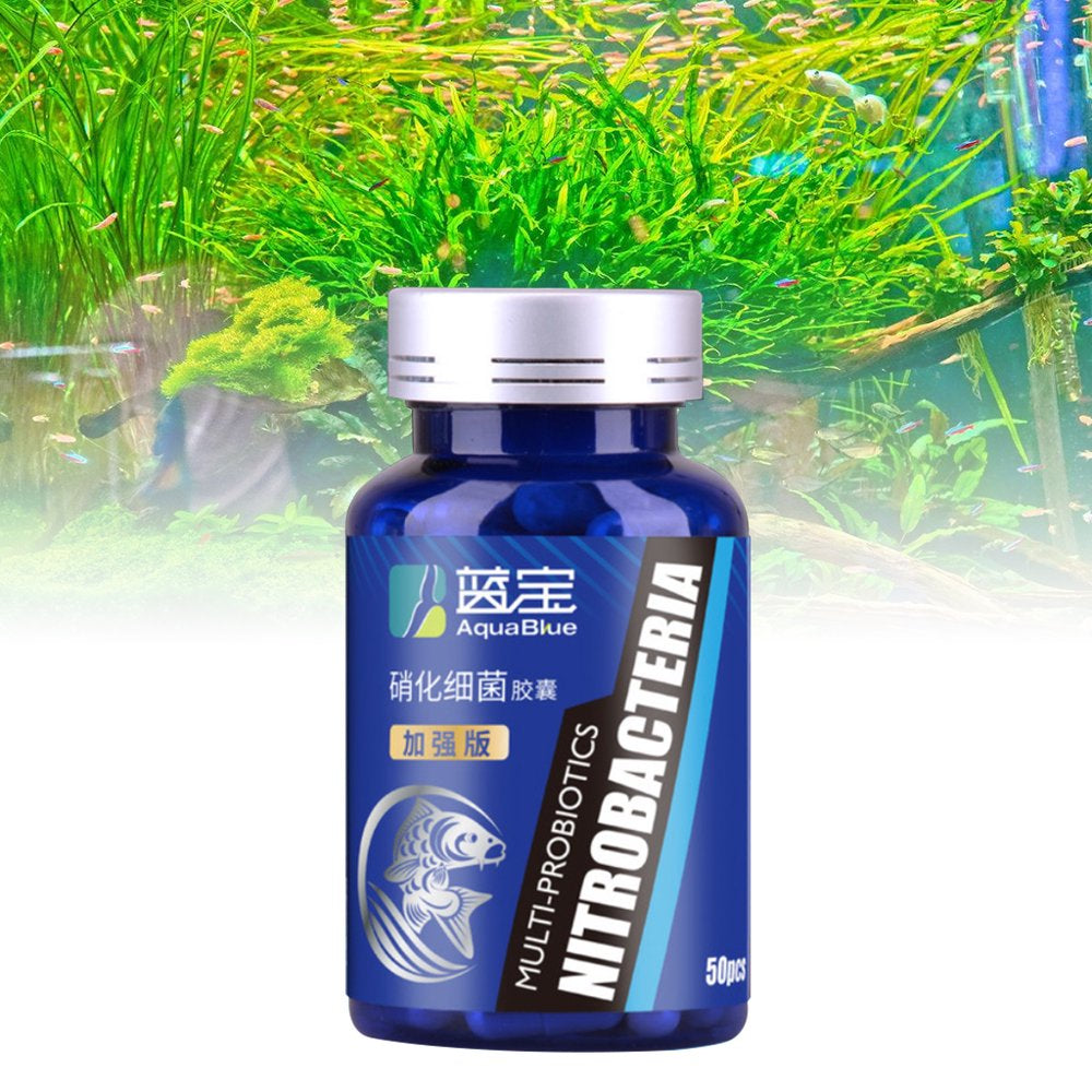 BINYOU 50Pcs/Bottle Aquarium Nitrifying Bacteria Concentrated Capsule Fish Tank Pond Cleaning Fresh Water Supplies Animals & Pet Supplies > Pet Supplies > Fish Supplies > Aquarium Cleaning Supplies BINYOU   