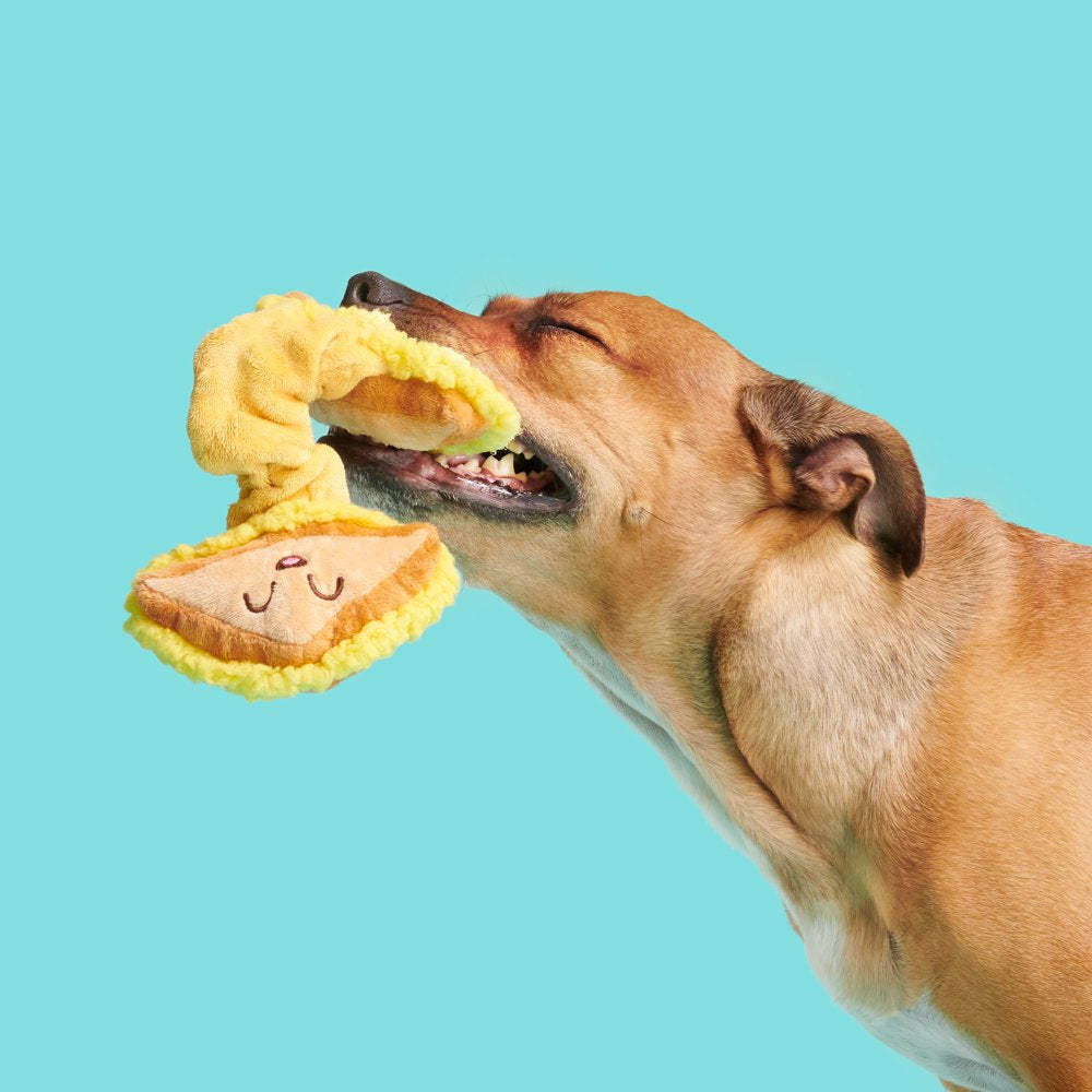 BARK Main Squeeze Cheese Dog Toy - Features Super Stretch Bungee, Xs to Medium Dogs Animals & Pet Supplies > Pet Supplies > Dog Supplies > Dog Toys BARK   